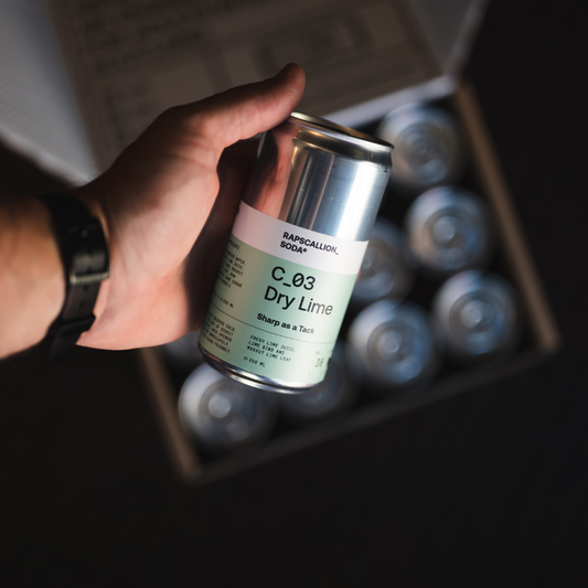 Rapscallion Dry Lime Soda 250ml