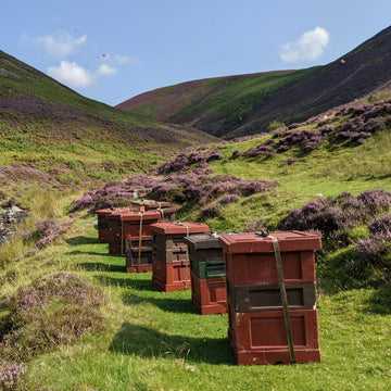 Why isn't our Scottish honey organic?