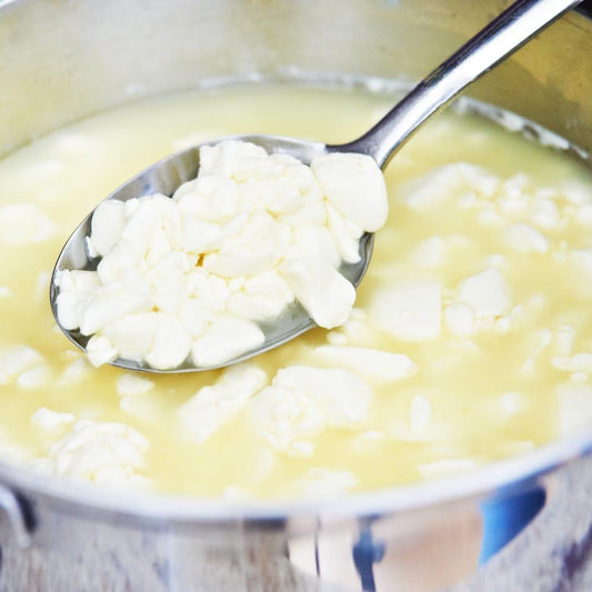 Wallce & Gromit's Cheeses of The World Cheese Making Kit