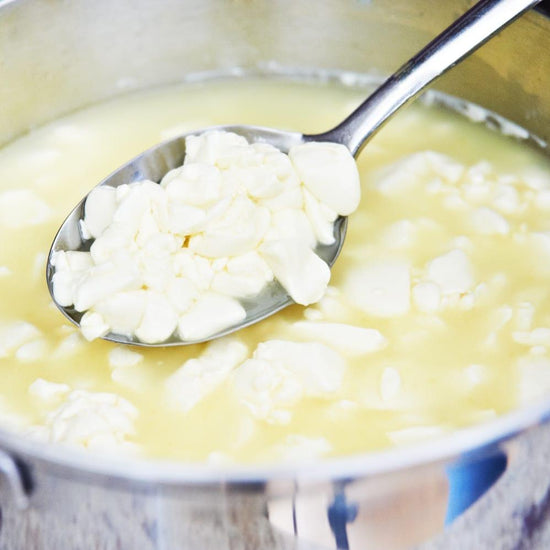 Mediterranean Cheese Making Kit