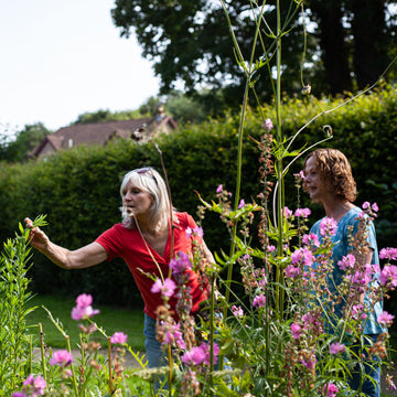 PROTECTING SCOTLAND’S POLLINATORS