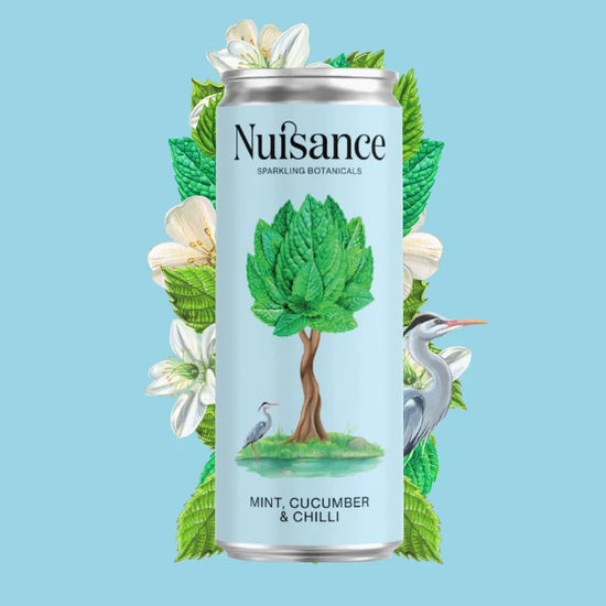 Nuisance Drinks - Mint, Cucumber & Chilli