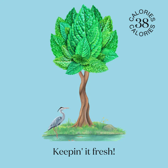 Nuisance Drinks - Mint, Cucumber & Chilli