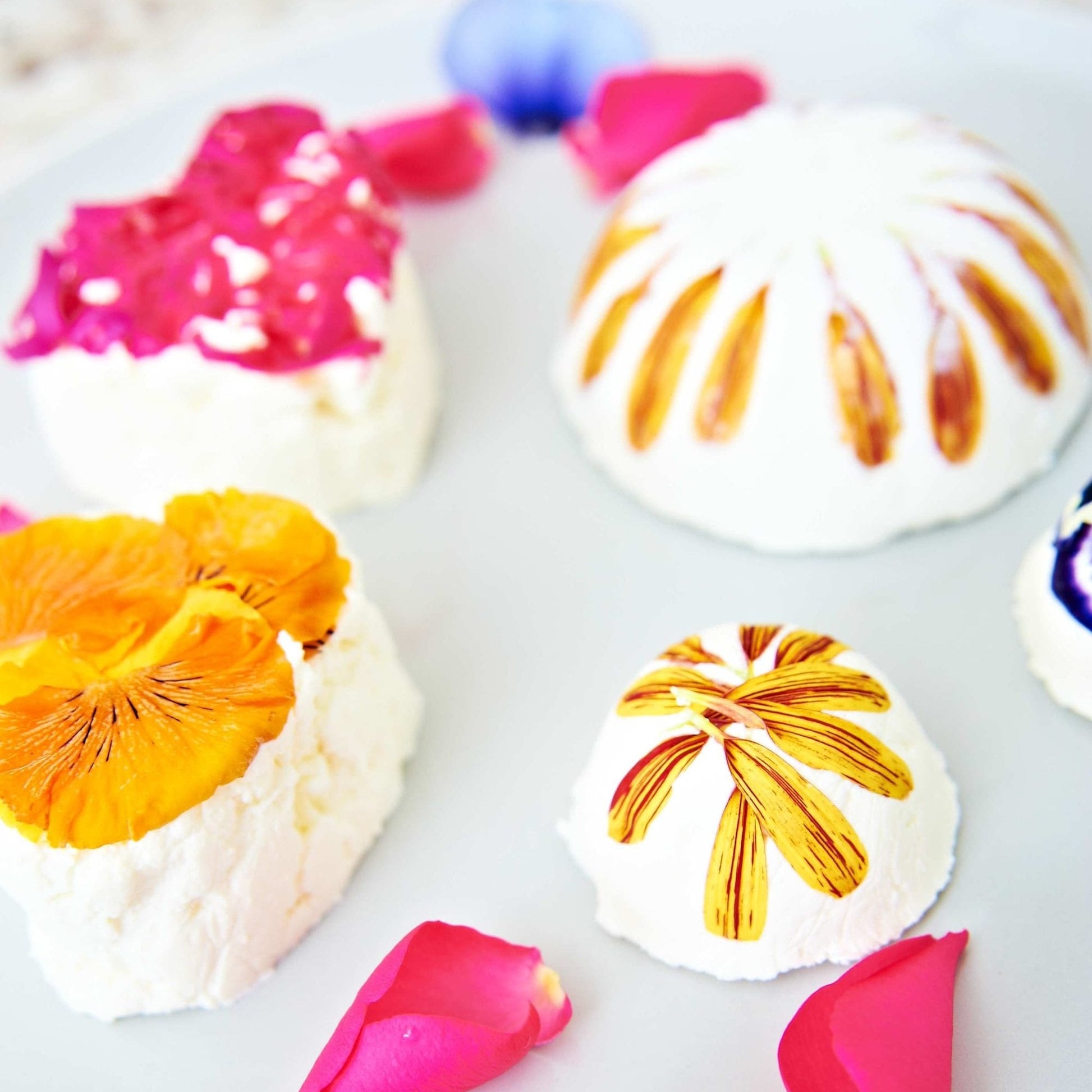 Goats Cheese Making Kit