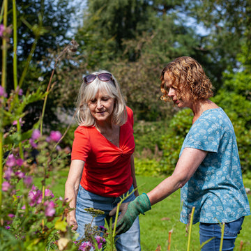Two women gardening outdoors in a sunny garden with green grass and pink flowers. One woman wears a red top and jeans, and the other wears a blue patterned top, jeans, and green gardening gloves.